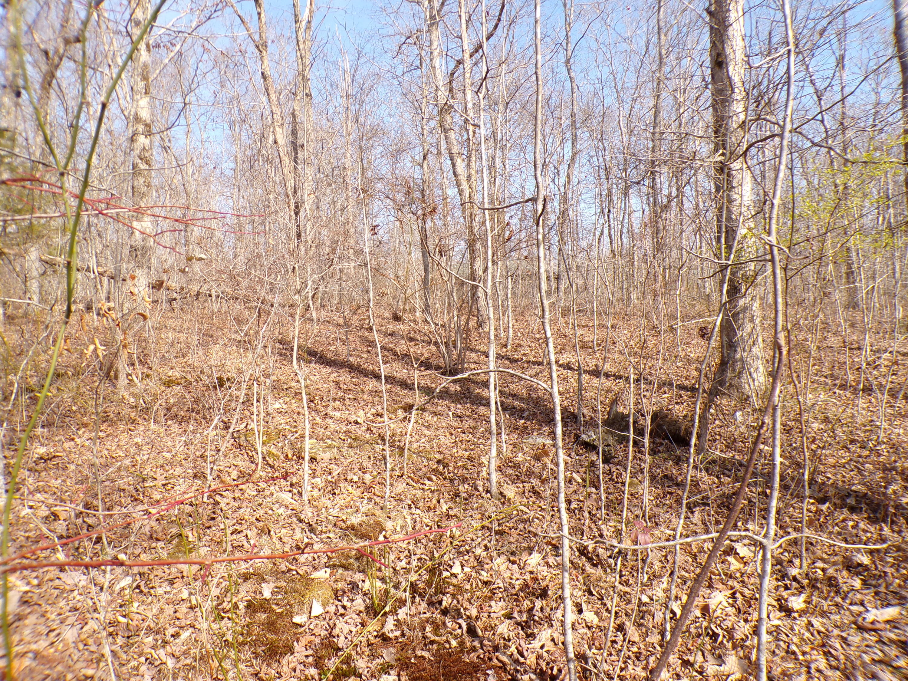 Timothy Drive #235, Crossville, Tennessee image 12