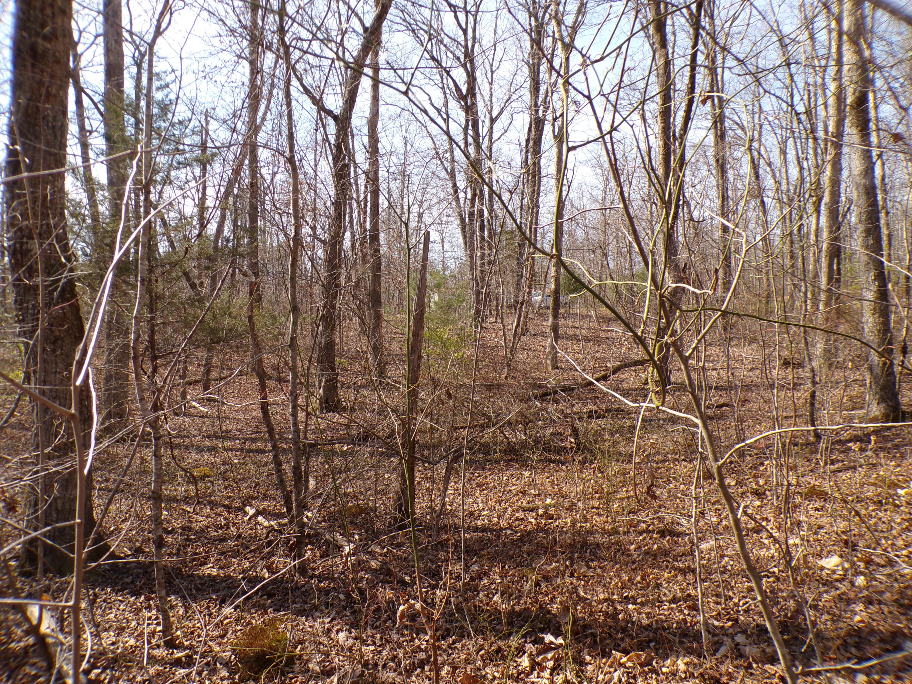 Timothy Drive #235, Crossville, Tennessee image 16
