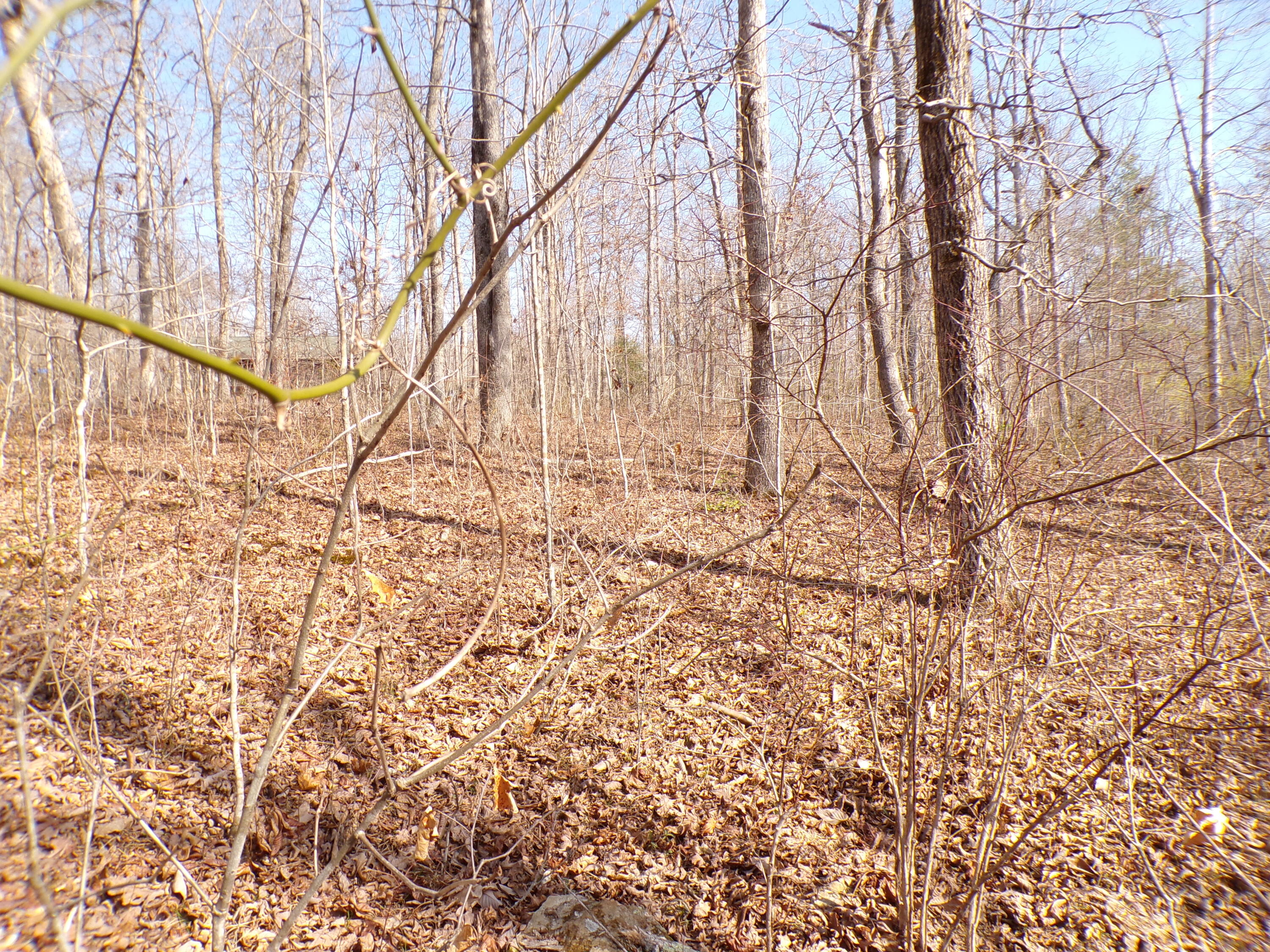 Timothy Drive #235, Crossville, Tennessee image 13