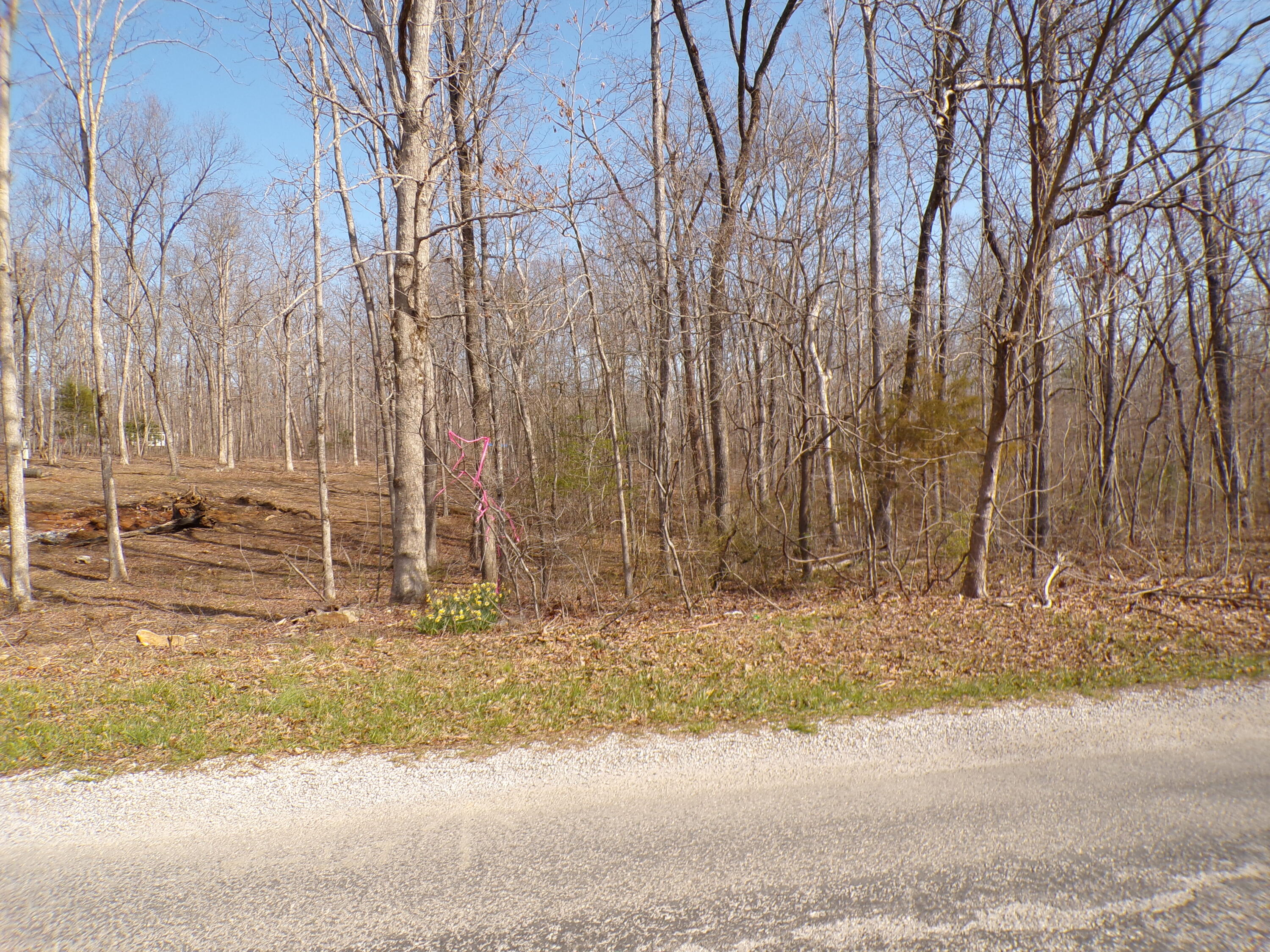 Timothy Drive #235, Crossville, Tennessee image 1