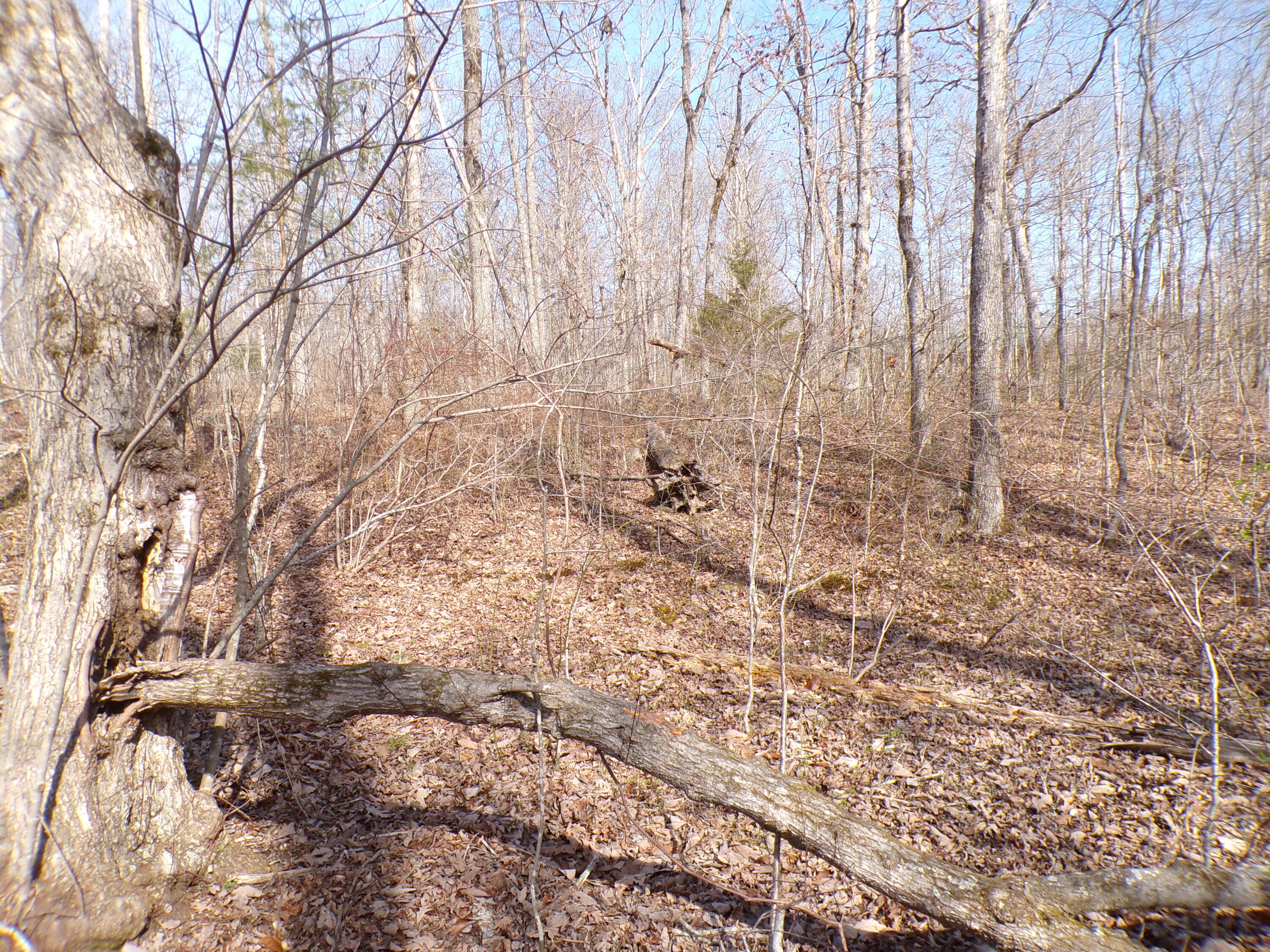 Timothy Drive #235, Crossville, Tennessee image 8