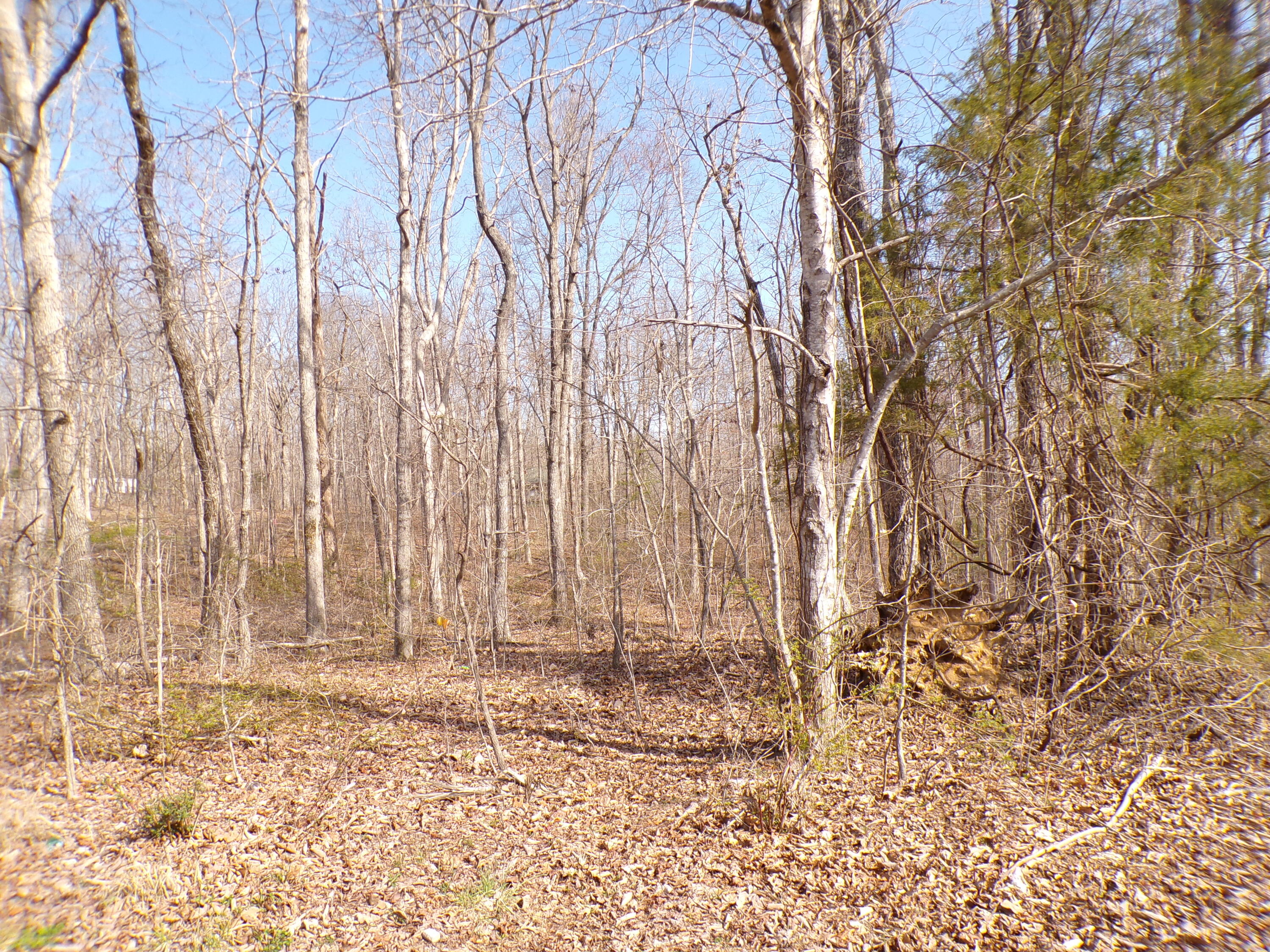Timothy Drive #235, Crossville, Tennessee image 4