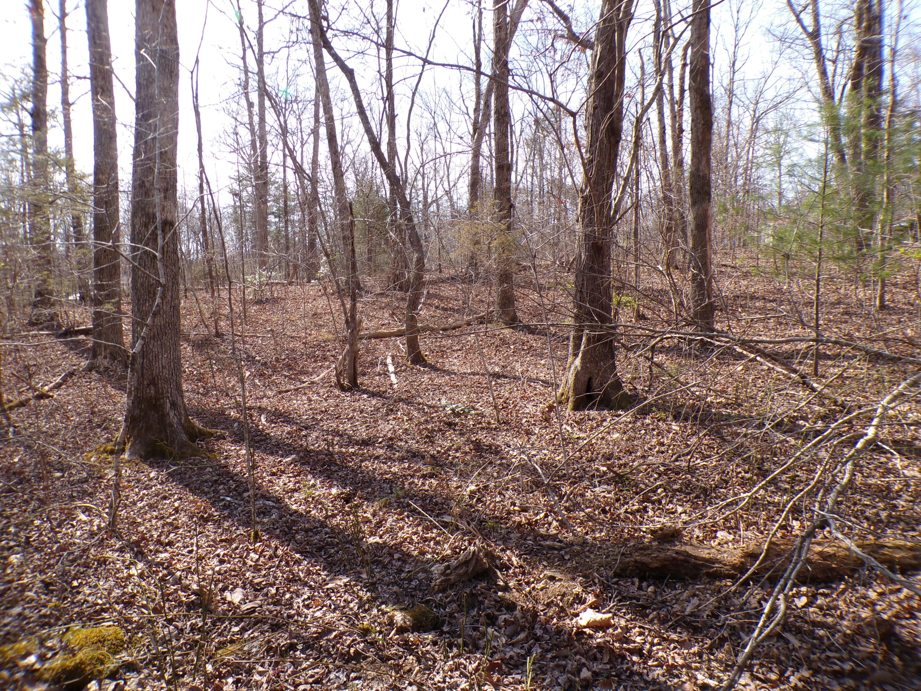 Timothy Drive #235, Crossville, Tennessee image 17