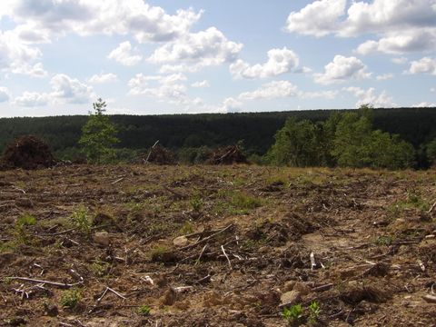 Vacant Land For Sale - LOT 14 Summer City Road<br/> Evensville, TN 37332