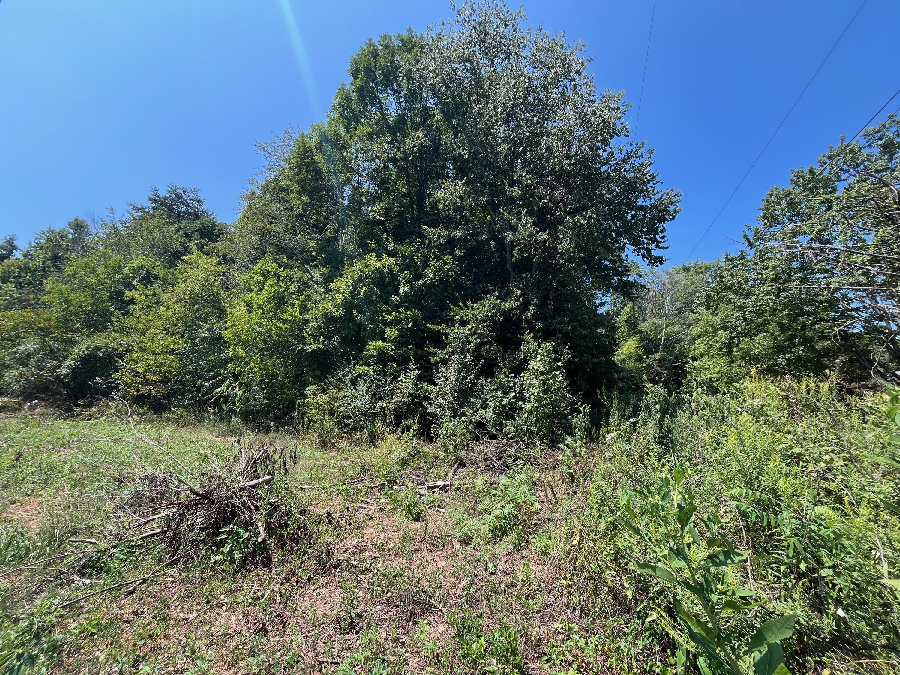 311 Dawn Circle, Chattanooga, Tennessee image 2