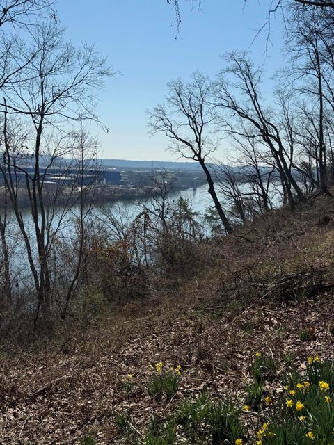 Photo of 414 Dogwood Lane, Chattanooga, TN 37405 (MLS # 1529426)