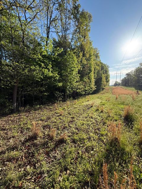 Photo of 675 Lee Mason Road, LaFayette, GA 30728 (MLS # 1532841)