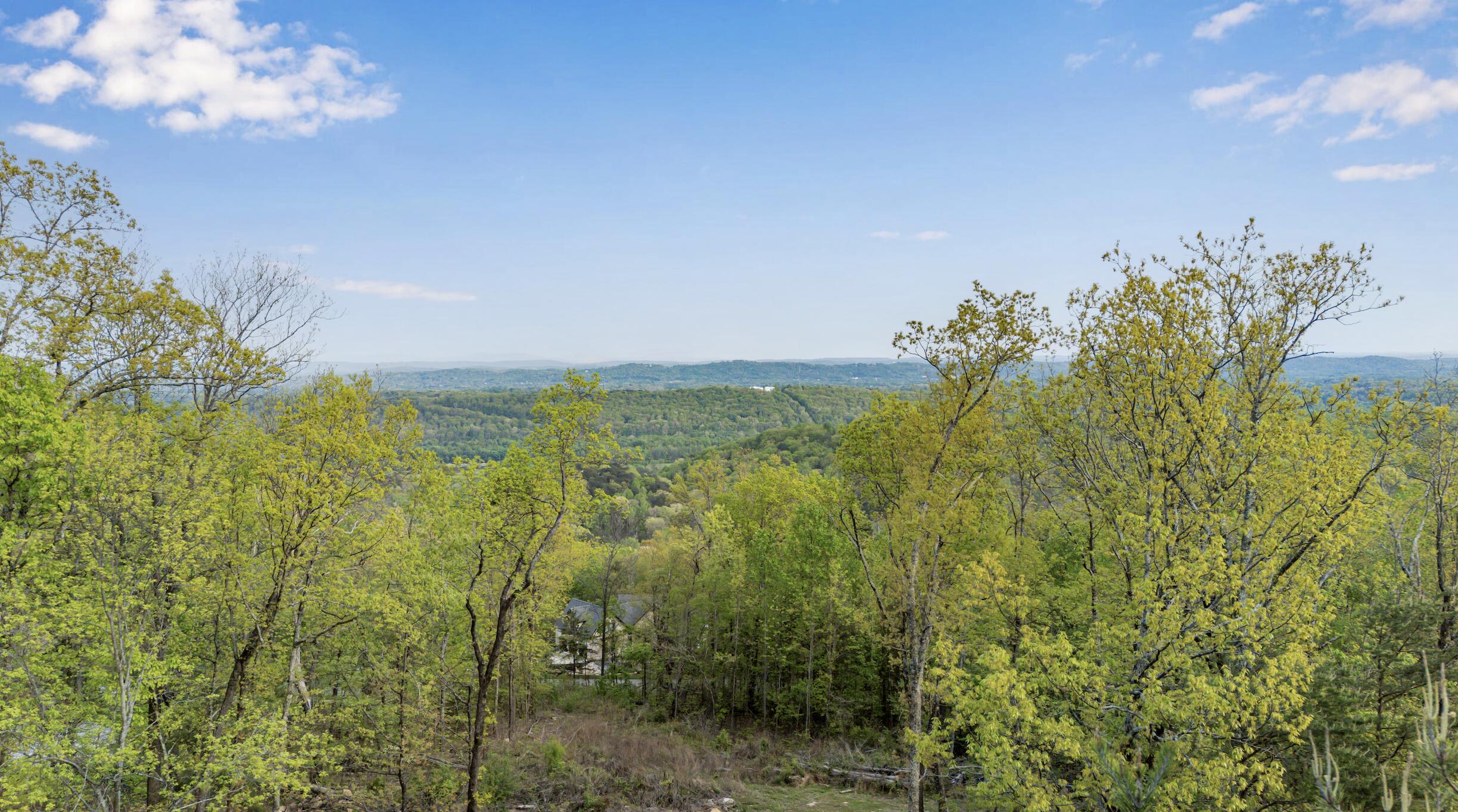 0 Bluff Ledge Trail Lot 80