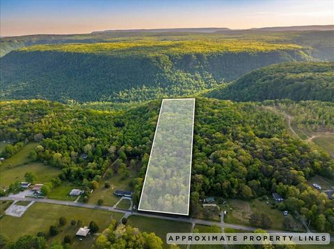Photo of 0 Sequatchie Mountain Road, Sequatchie, TN 37374 (MLS # 1532849)