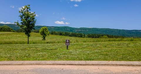 Tiny photo for 100 River Ridge Drive, Dunlap, TN 37327 (MLS # 1513403)