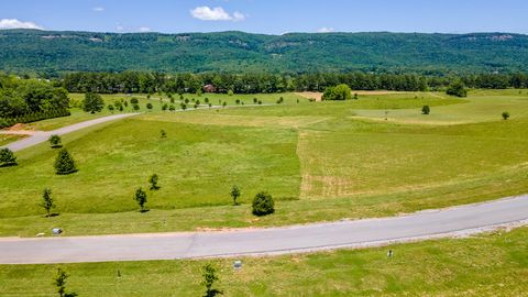 Tiny photo for 100 River Ridge Drive, Dunlap, TN 37327 (MLS # 1513403)