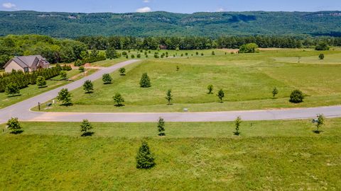 Tiny photo for 100 River Ridge Drive, Dunlap, TN 37327 (MLS # 1513403)