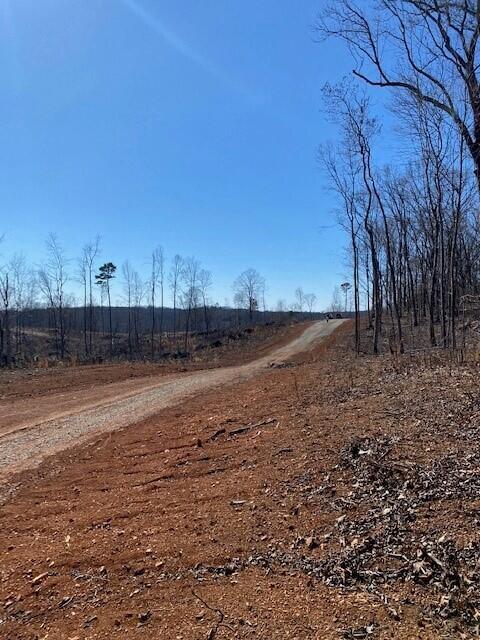 Tract 18 River Road #TRACT 18, Decatur, Tennessee image 5