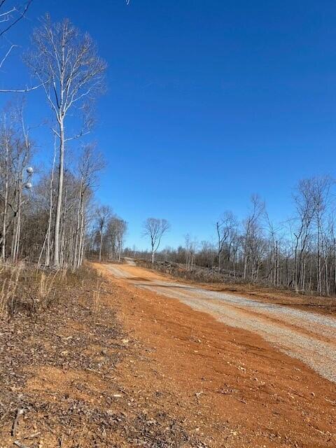 Tract 18 River Road #TRACT 18, Decatur, Tennessee image 6