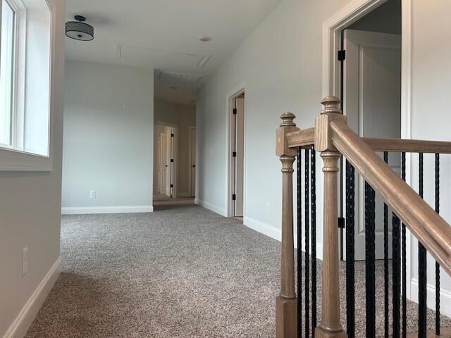 8860 Knolling Loop #37, Ooltewah, Tennessee image 13