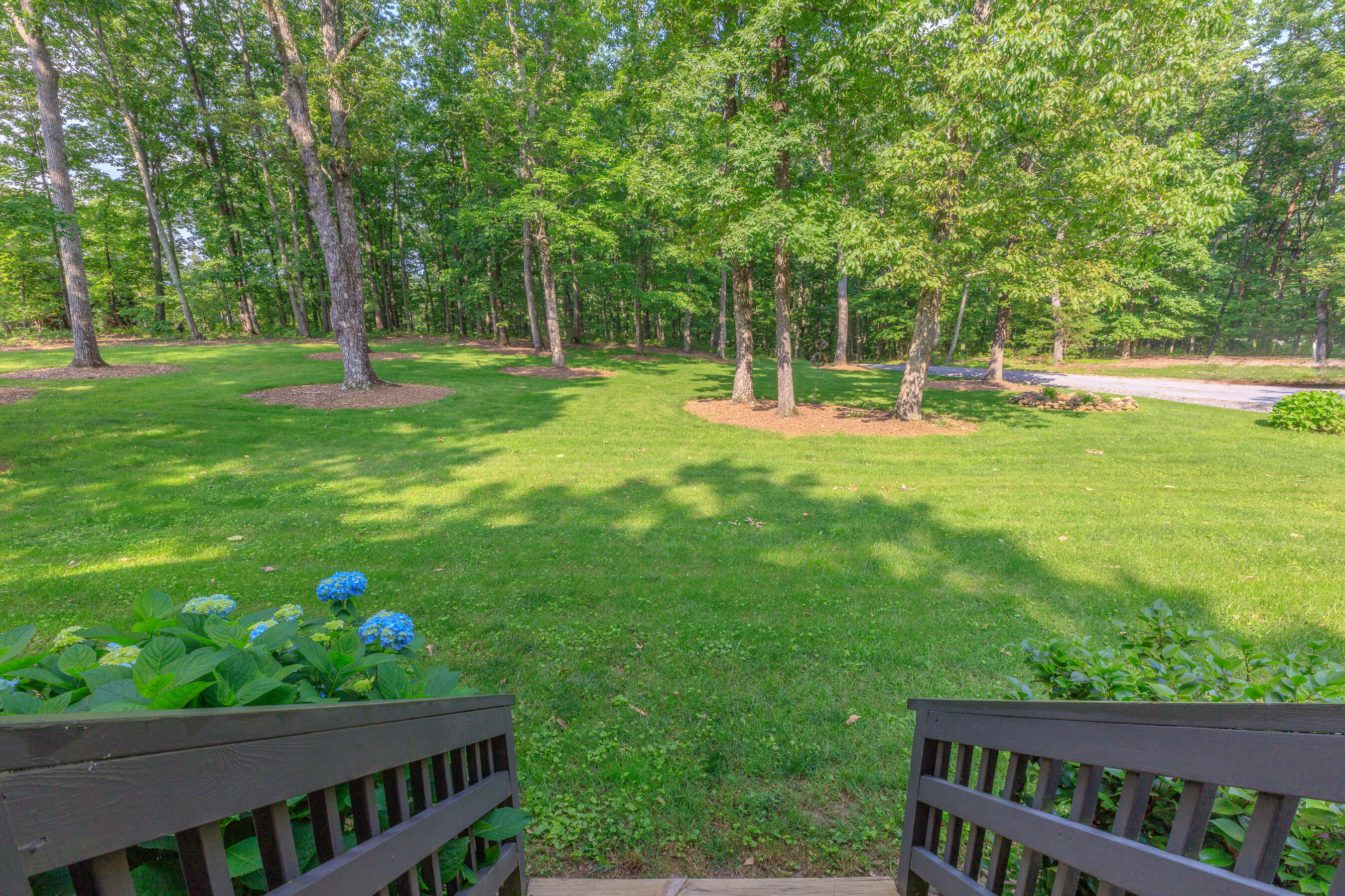 12564 Jones Gap Road