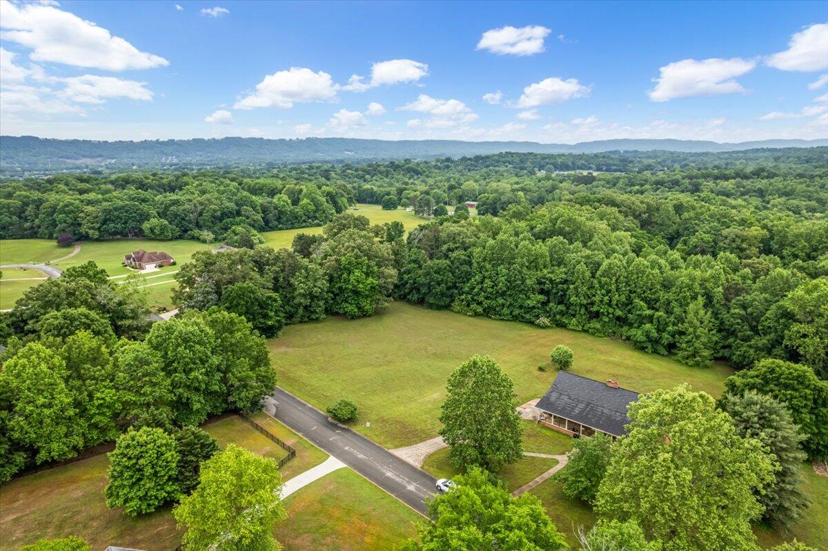7906 Clara Chase Drive, Ooltewah, Tennessee image 8