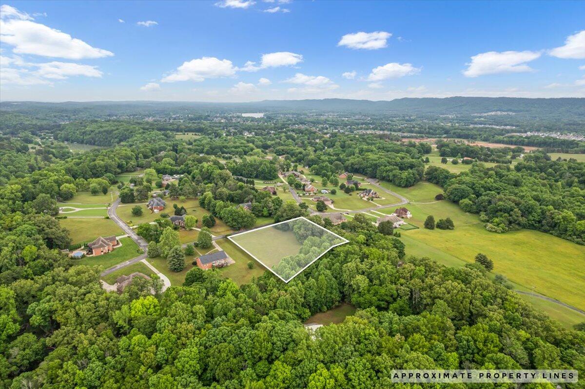 7906 Clara Chase Drive, Ooltewah, Tennessee image 12