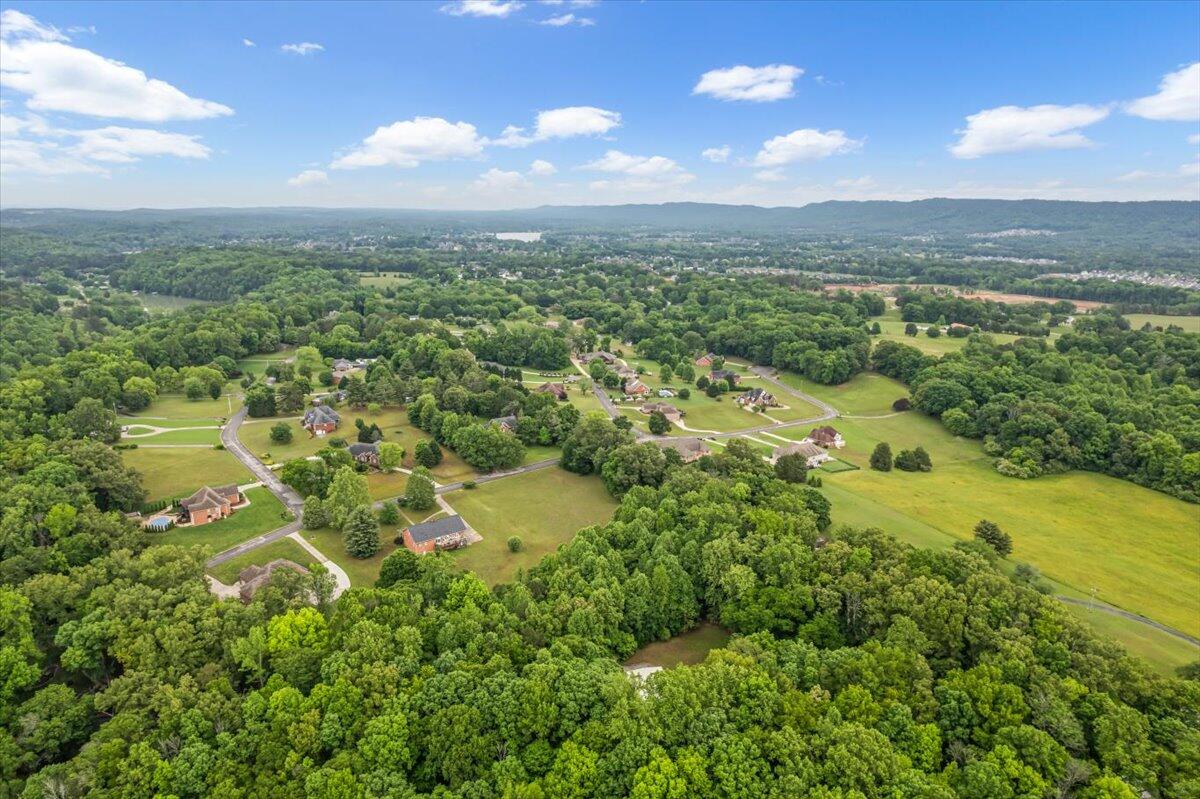 7906 Clara Chase Drive, Ooltewah, Tennessee image 6