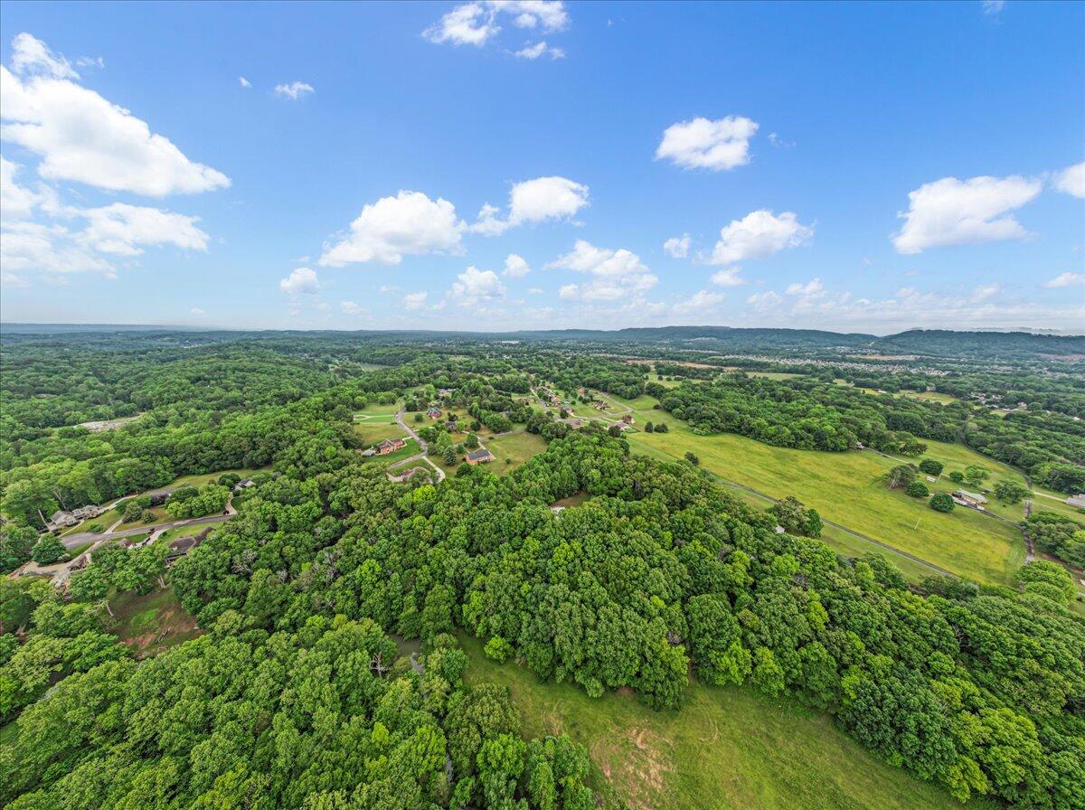 7906 Clara Chase Drive, Ooltewah, Tennessee image 5