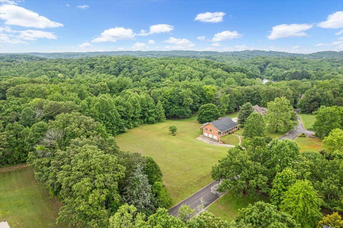 7906 Clara Chase Drive, Ooltewah, Tennessee image 9