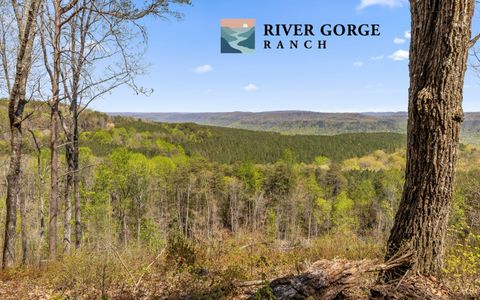 Photo of Lot 2225 High Ground Road, Guild, TN 37340 (MLS # 1532339)
