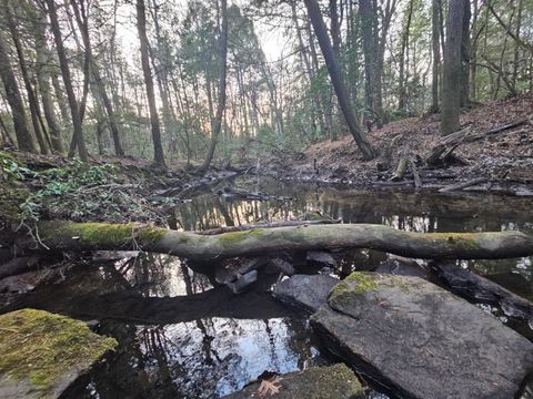 Photo of 100 Clendenon Road, Spencer, TN 38585 (MLS # 1526280)