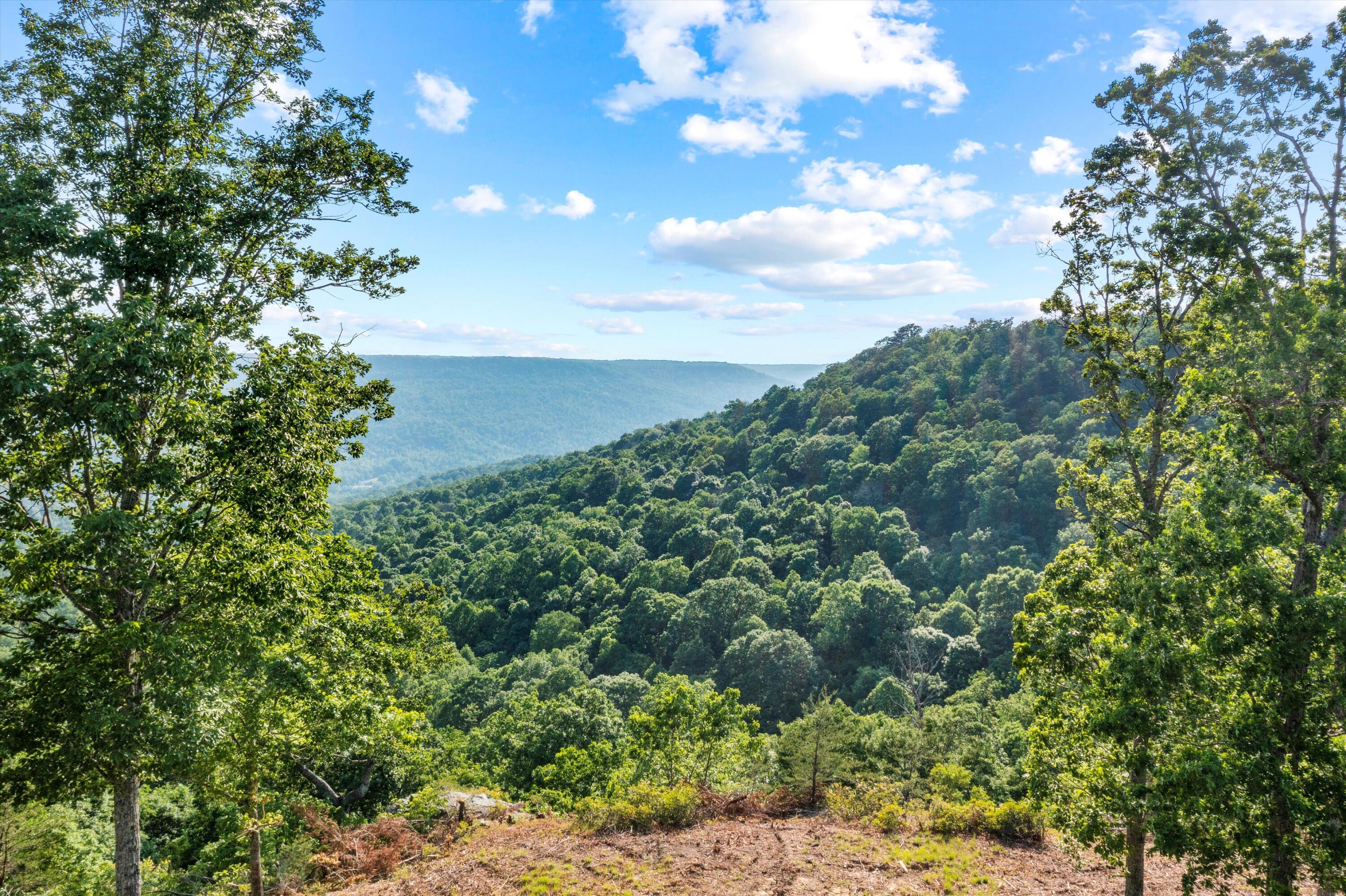 Coyote Trail #623, Spencer, Tennessee image 9
