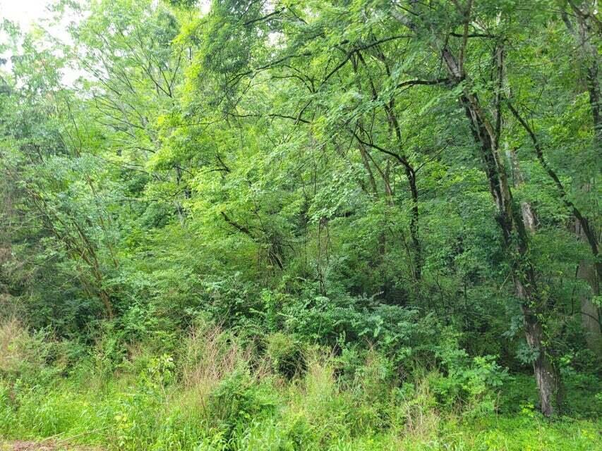 2220 Ruritan Road, Harriman, Tennessee image 6