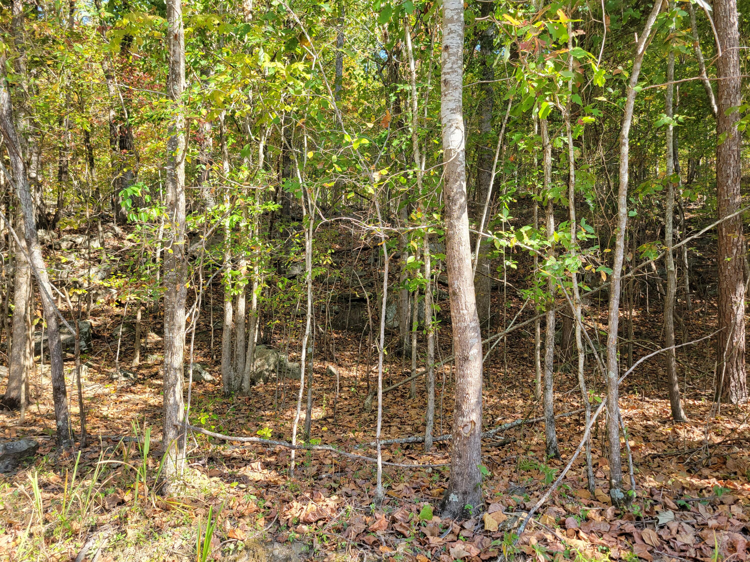 13 Raulstontown Road #13, South Pittsburg, Tennessee image 1