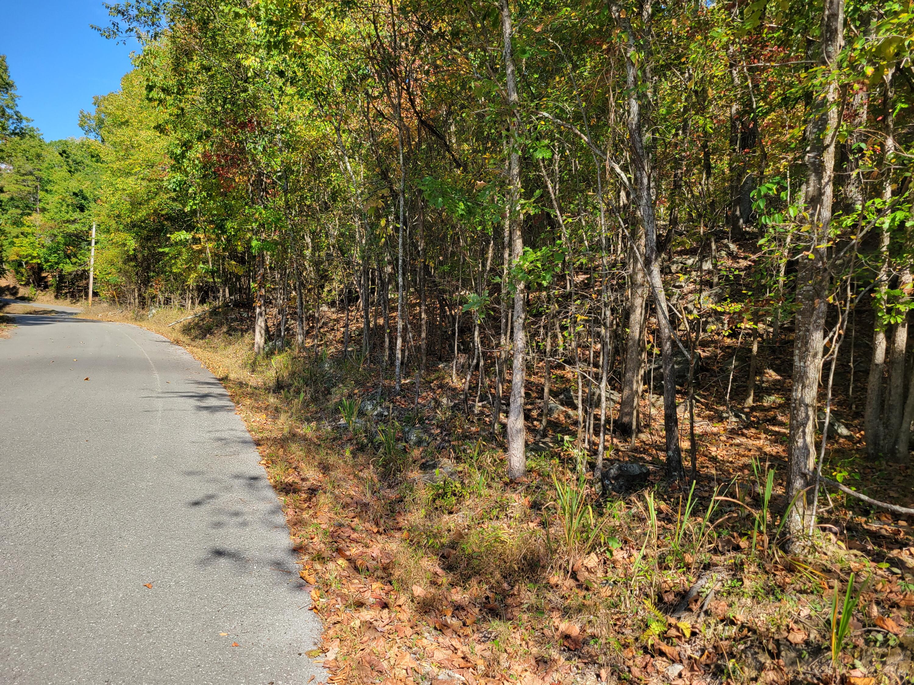 13 Raulstontown Road #13, South Pittsburg, Tennessee image 2