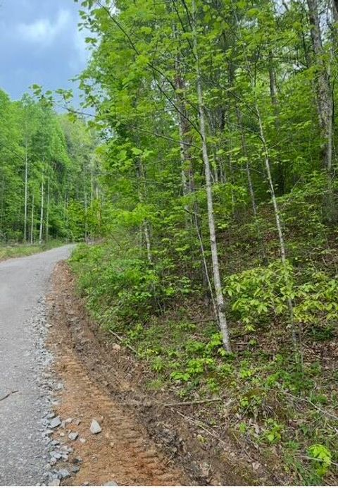 Tiny photo for 0 Possum Trot Road, Grandview, TN 37337 (MLS # 1527622)