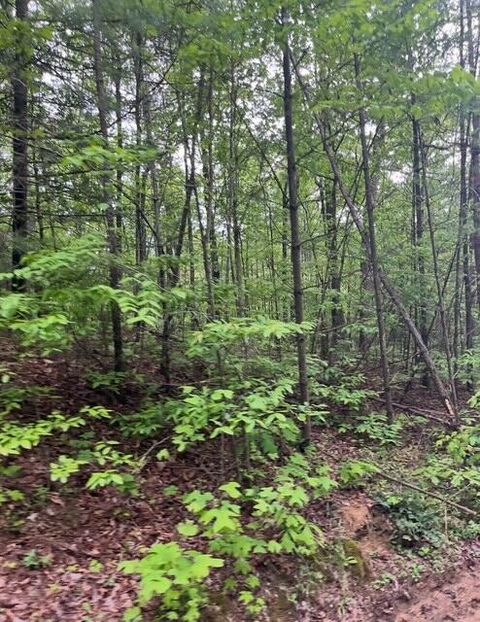 Tiny photo for 0 Possum Trot Road, Grandview, TN 37337 (MLS # 1527622)