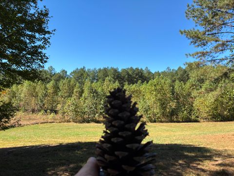 Photo of 241 Pappy Road, Jasper, TN 37347 (MLS # 1522397)