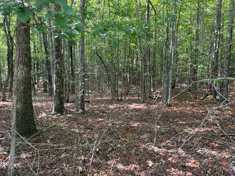Vacant Land For Sale - 2 Lake Trail<br/> Dunlap, TN 37327