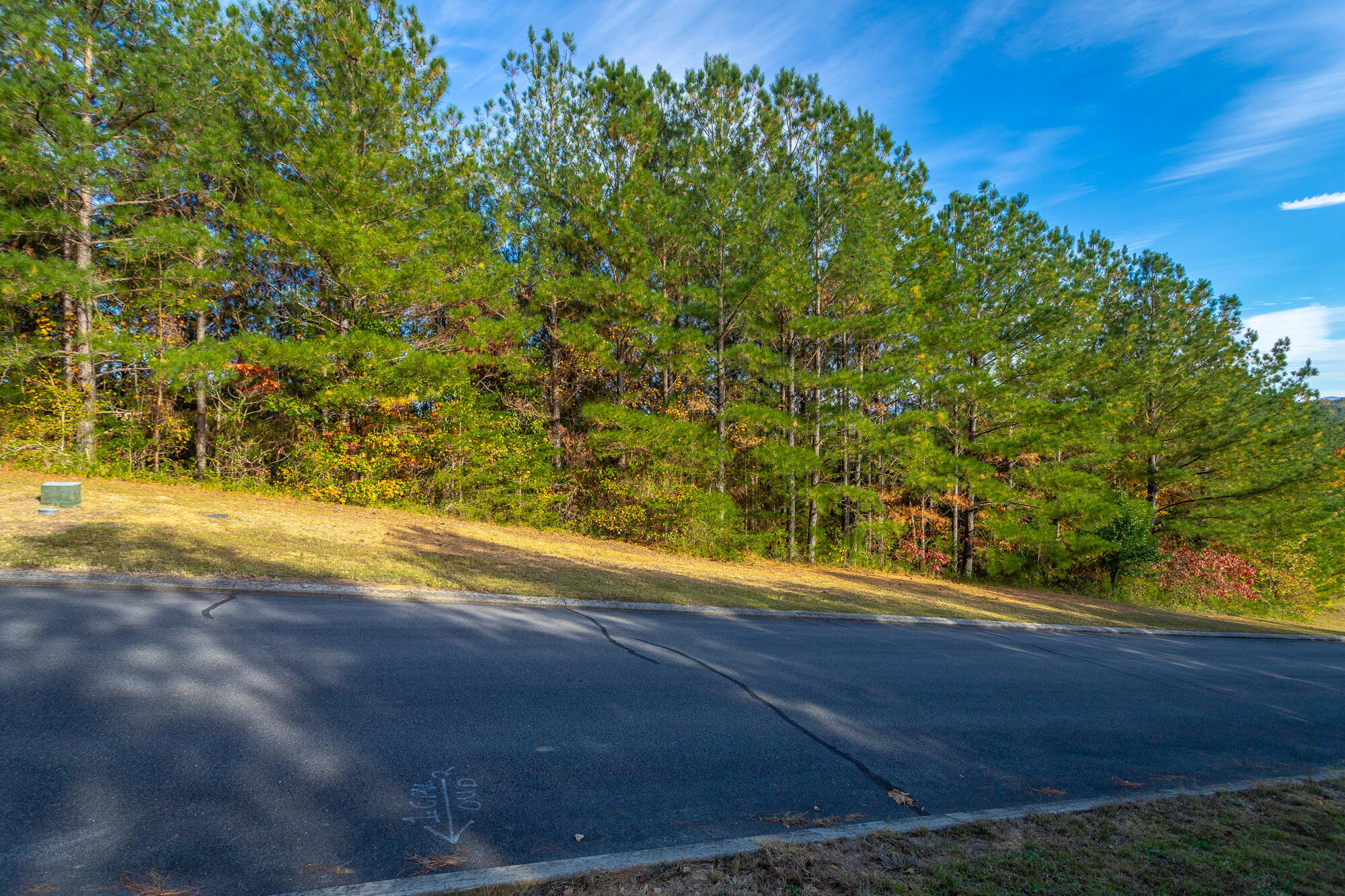 128 Cherokee Ridge Drive, Ocoee, Tennessee image 2