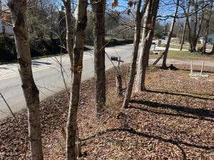 Featured picture for the property 1533951