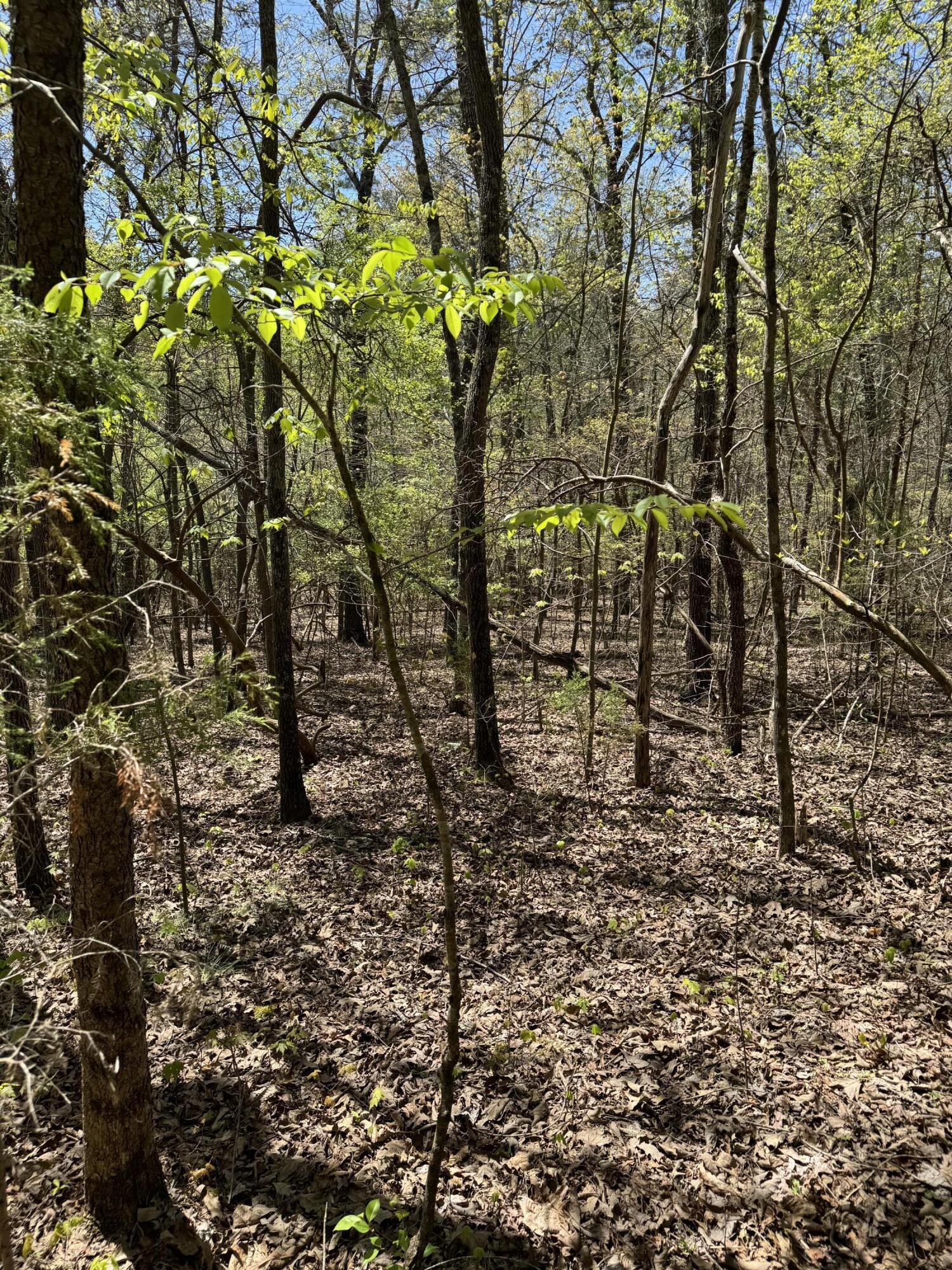 4 Hidden Ridge Loop, Dunlap, Tennessee image 7