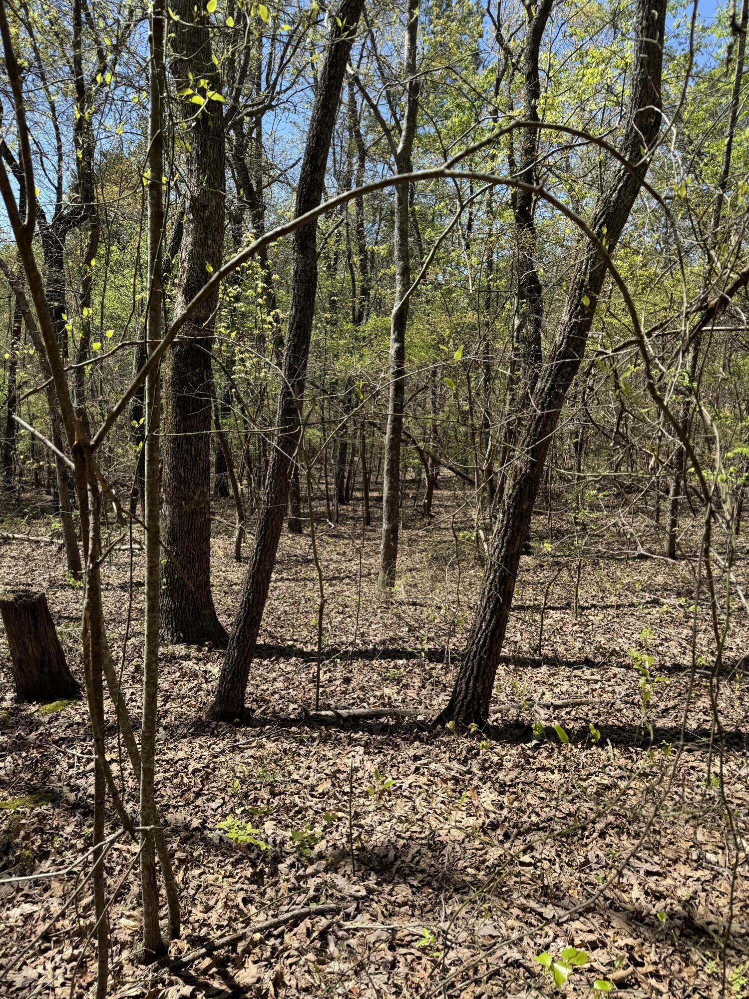 4 Hidden Ridge Loop, Dunlap, Tennessee image 2