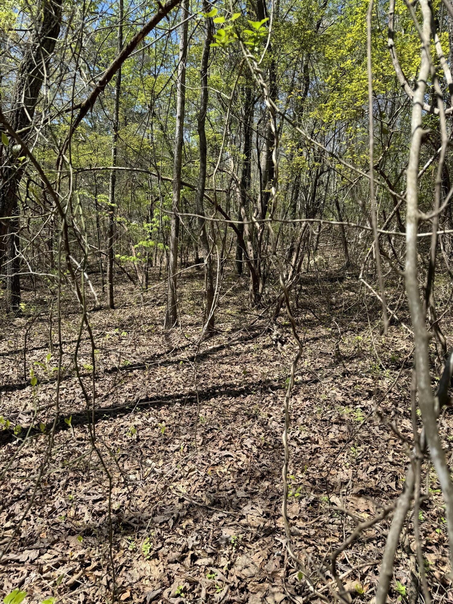 4 Hidden Ridge Loop, Dunlap, Tennessee image 4