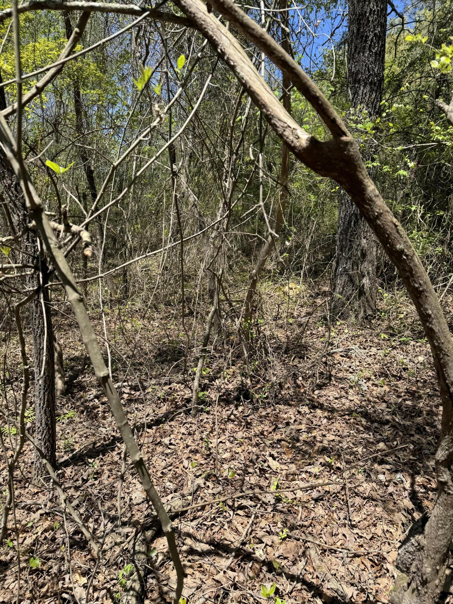 4 Hidden Ridge Loop, Dunlap, Tennessee image 3