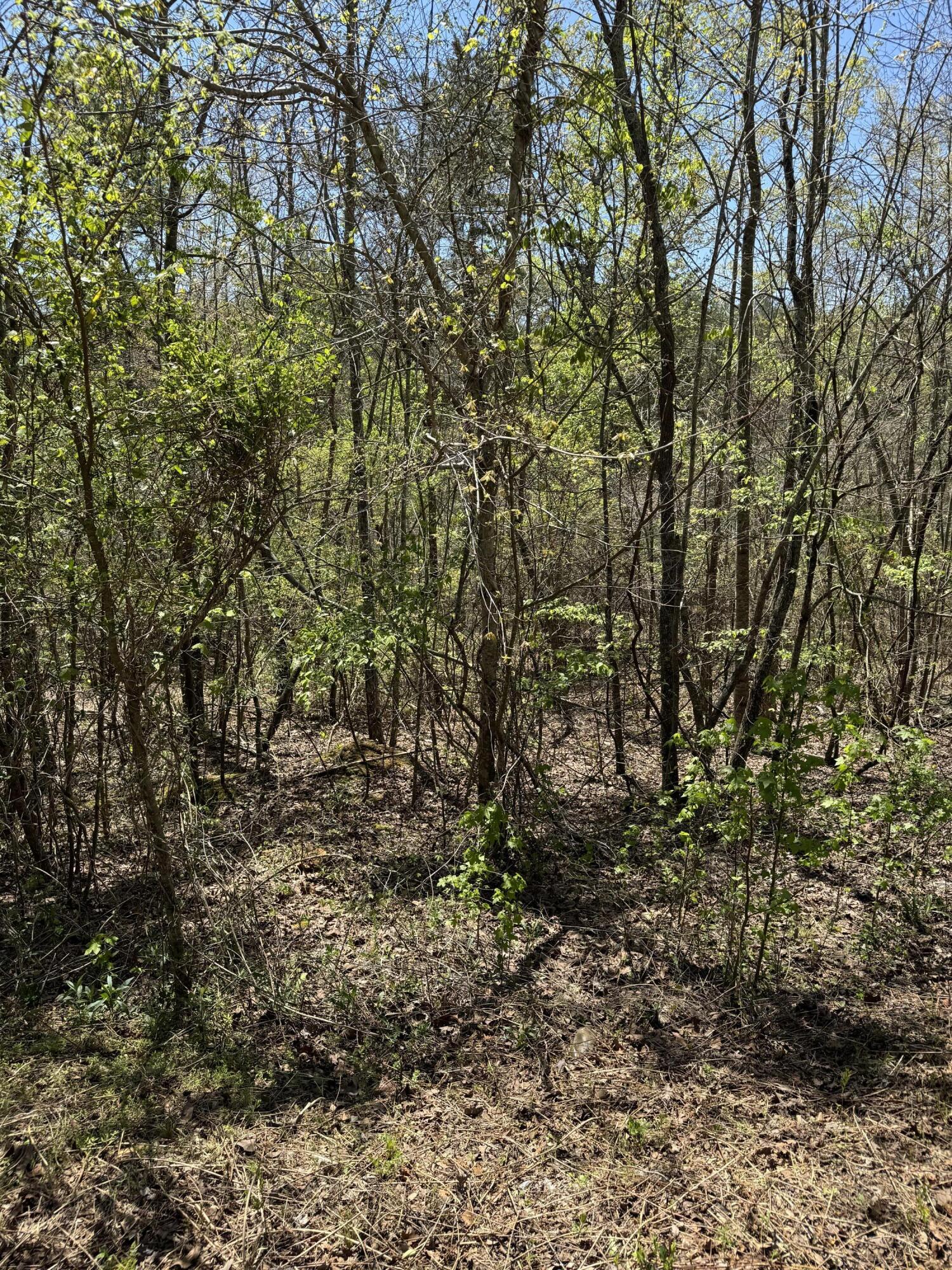 4 Hidden Ridge Loop, Dunlap, Tennessee image 10