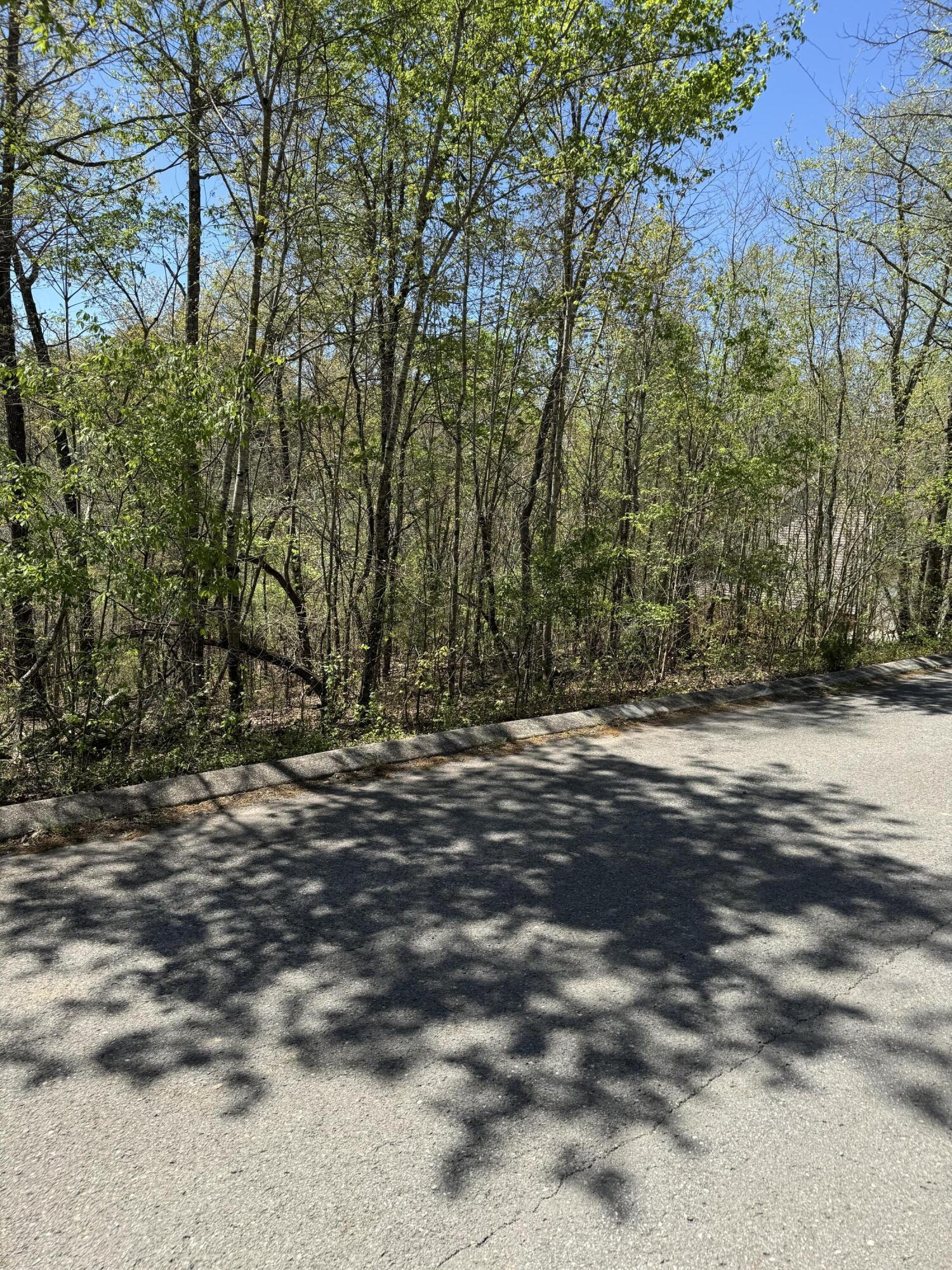 4 Hidden Ridge Loop, Dunlap, Tennessee image 12