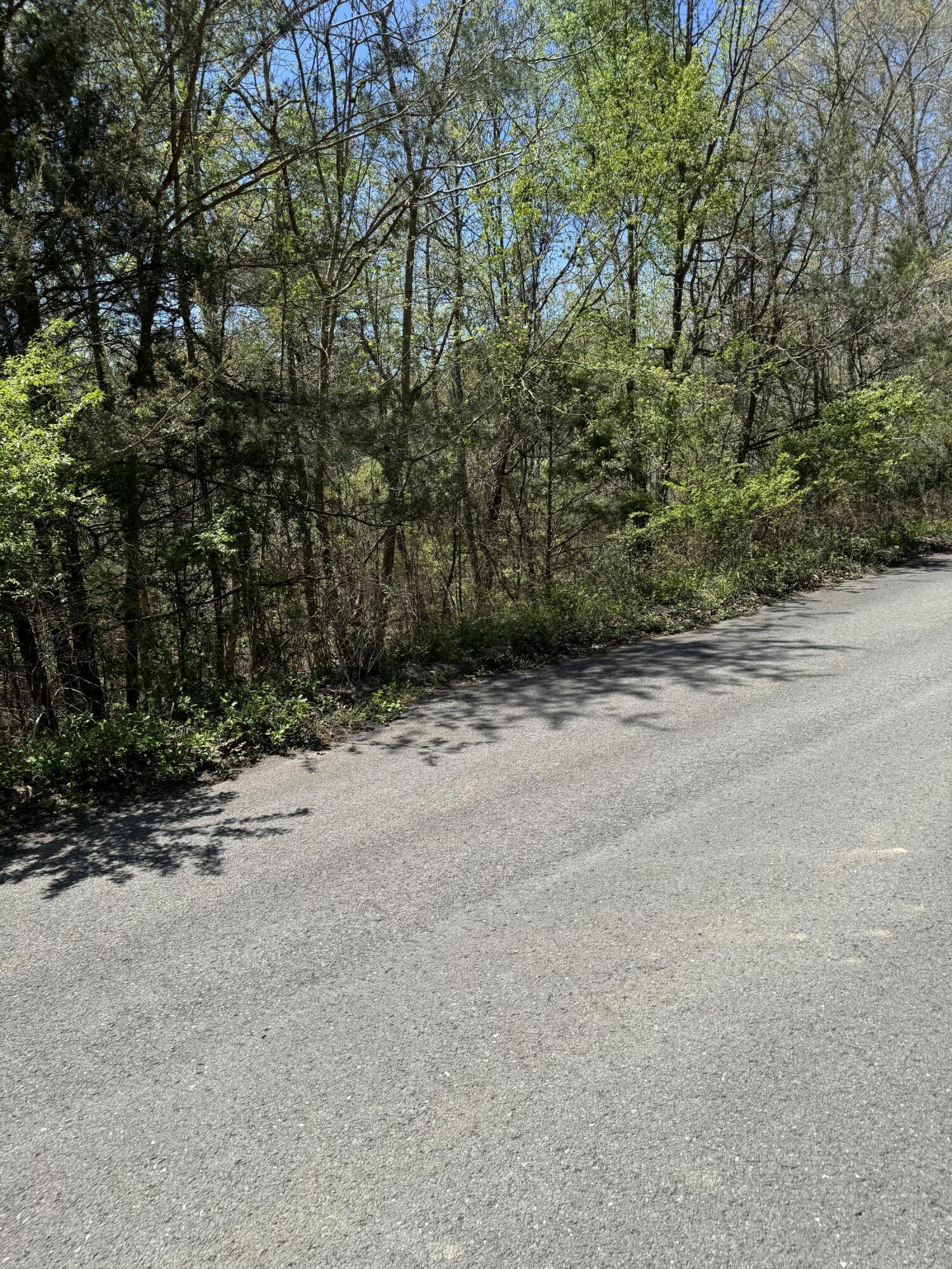 4 Hidden Ridge Loop, Dunlap, Tennessee image 8