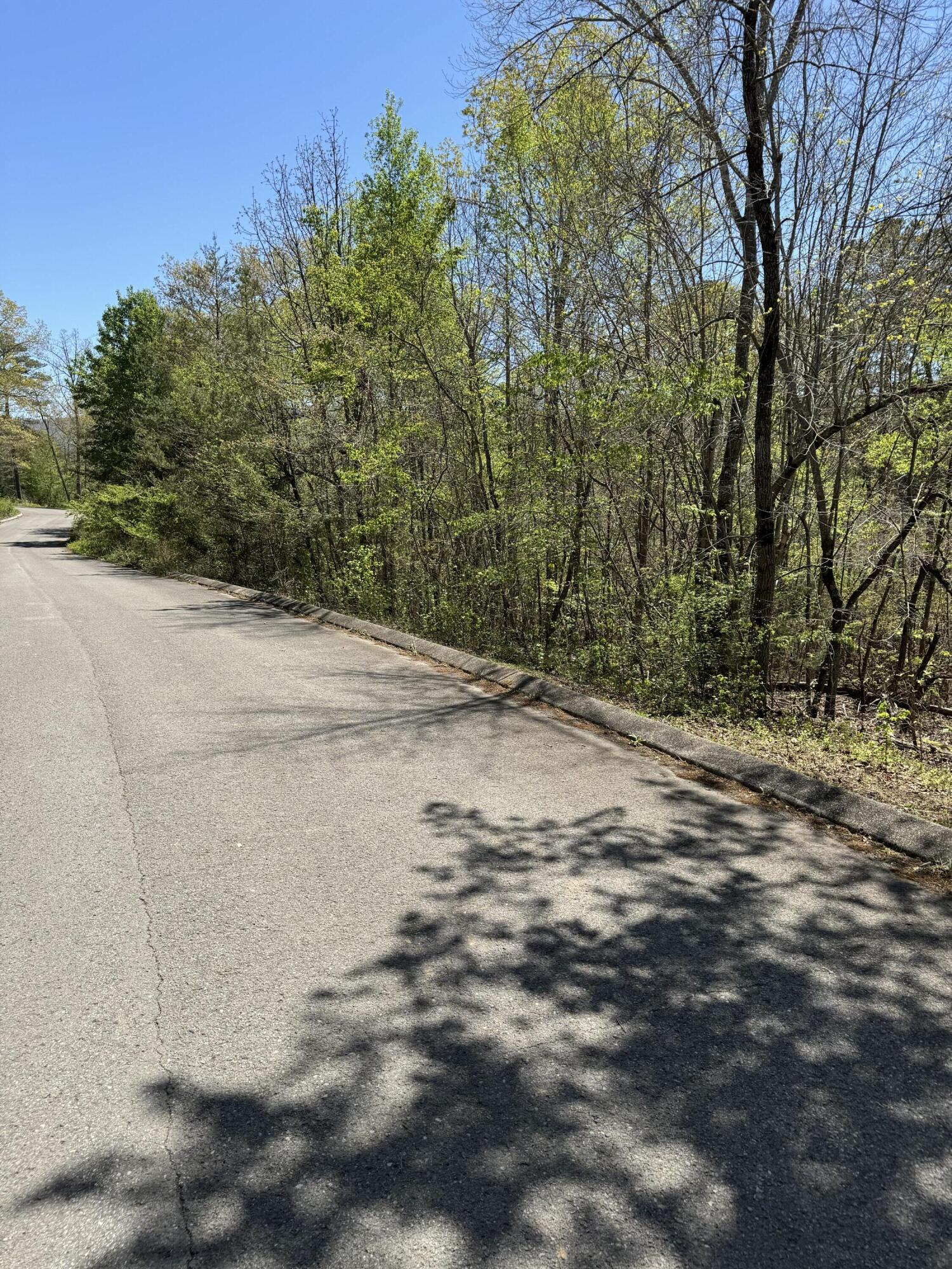 4 Hidden Ridge Loop, Dunlap, Tennessee image 1