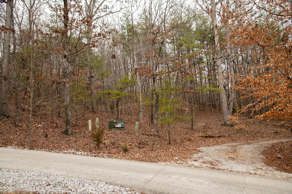 Valley Rim Drive, Chickamauga, Georgia image 16