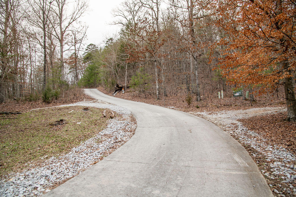 Valley Rim Drive, Chickamauga, Georgia image 14