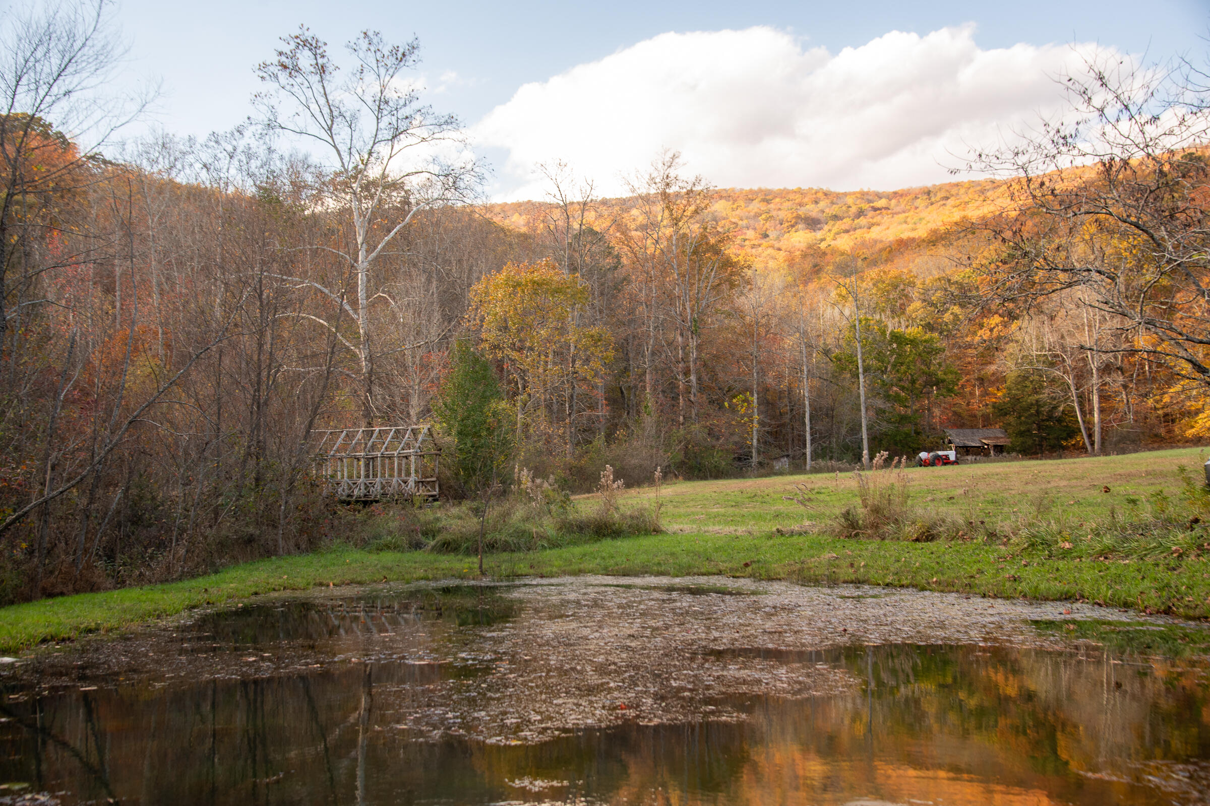 Valley Rim Drive, Chickamauga, Georgia image 38