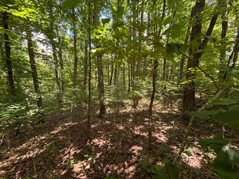 Photo of 0 Sussex Road, Dayton, TN 37321 (MLS # 1538333)