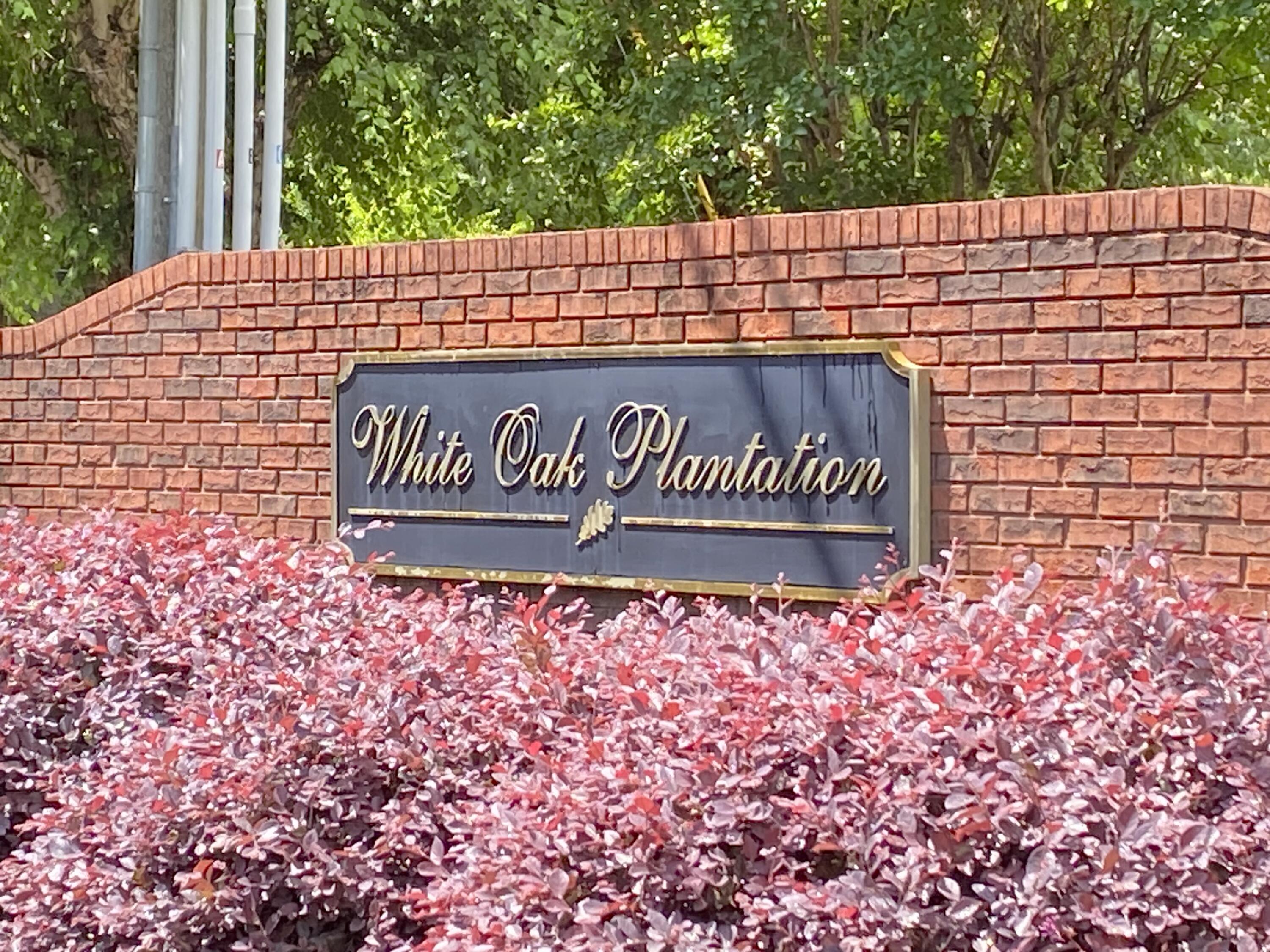 151 Holly Oak Lane